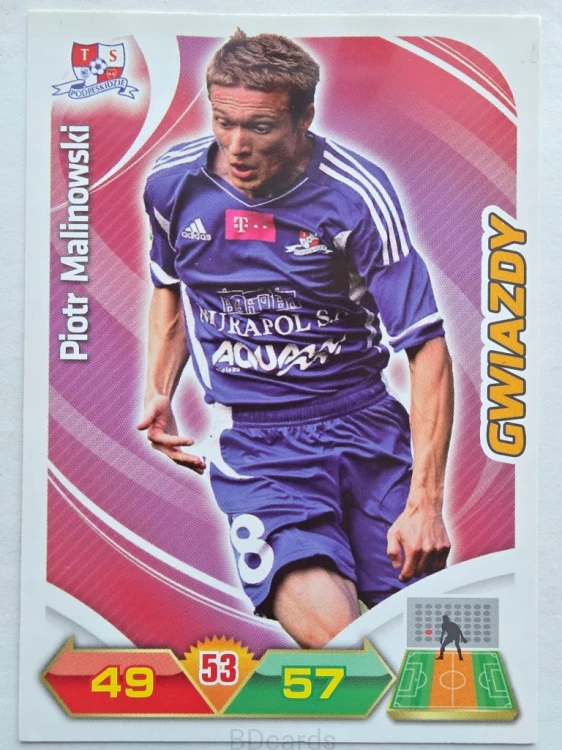 2012-13 Panini Ekstraklasa Piotr Malinowski Podbeskidzie /ER4