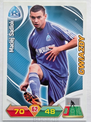 2012-13 Panini Ekstraklasa Maciej Sadlok Ruch Chorzów /ER5