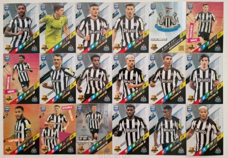 L11 Newcastle United 18 Kart Panini Fifa 365 2024 Botman Schar
