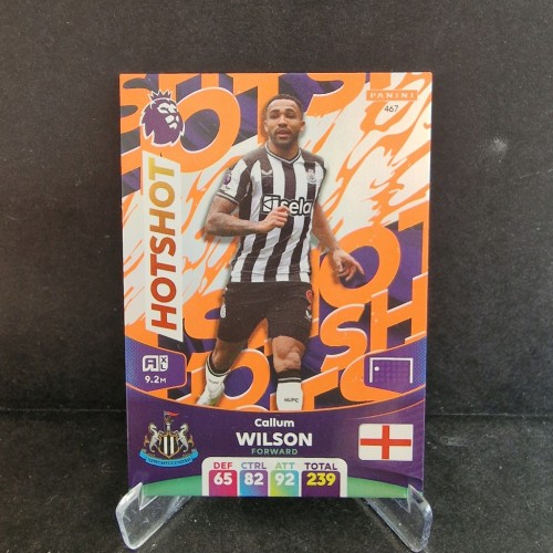 2024 Panini Premier League Callum Wilson Newcastle Hotshots /LU2