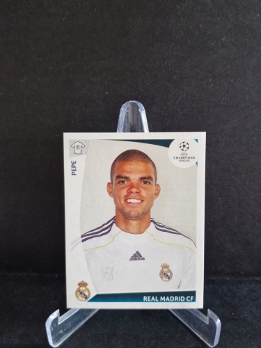 2009-10 Panini Champions League Pepe Real Madryt /CL2
