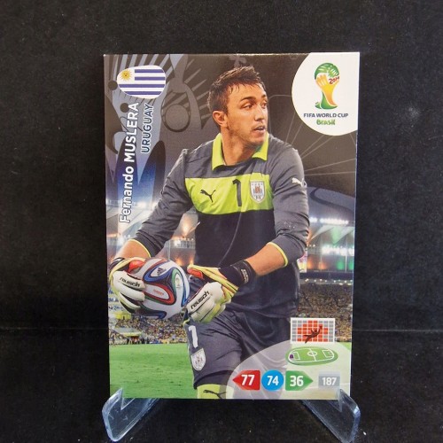 2014 World Cup Brasil Fernando Muslera Urugwaj /WC5