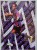 2024 Karta Ronaldinho Fc Barcelona Legends Limited Edition /BC15