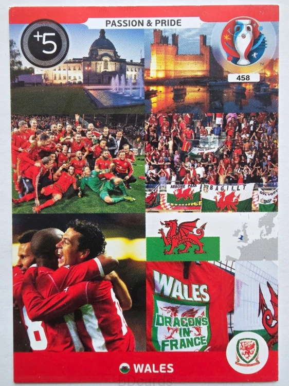 2016 Panini Euro Passion & Pride Walia Nr 458 /O