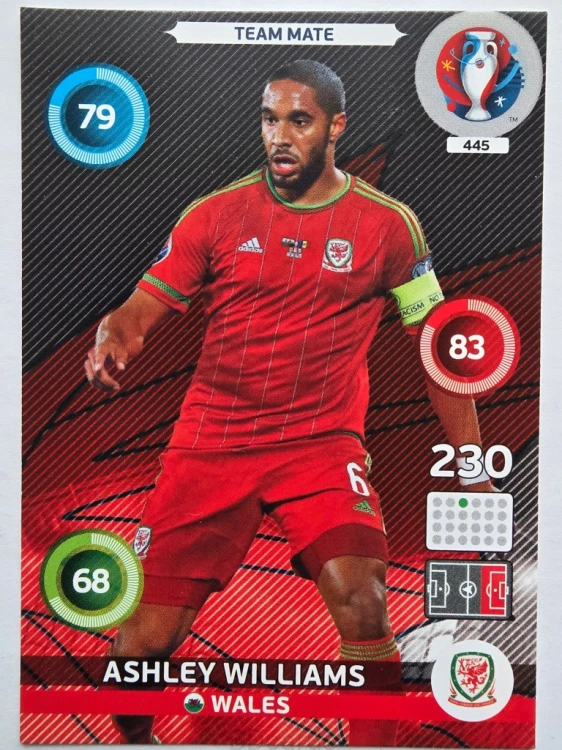 2016 Panini Euro Ashley Williams Walia Nr 445 /O