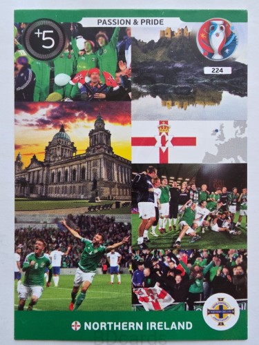 2016 Panini Euro Passion & Pride Irlandia Połnocna Nr 224 /W26