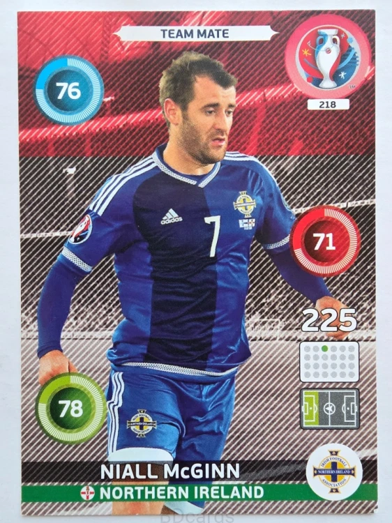 2016 Panini Euro Niall McGinn Irlandia Połnocna Nr 218 /W23