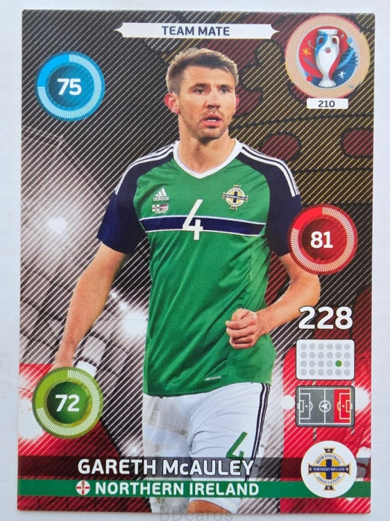 2016 Panini Euro Gareth McAuley Irlandia Połnocna Nr 210 /W20