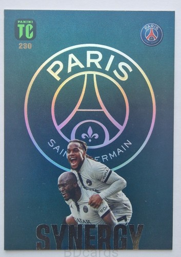 2023 Panini Top Class PSG Synergy /A