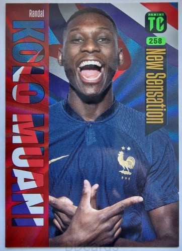 VD49 Kolo Muani Panini Top Class 2024 New Sensation