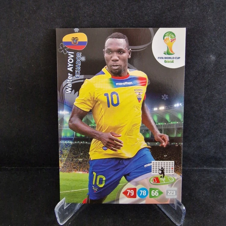 2014 Panini World Cup Brasil Walter Ayovi Ekwador /WC21