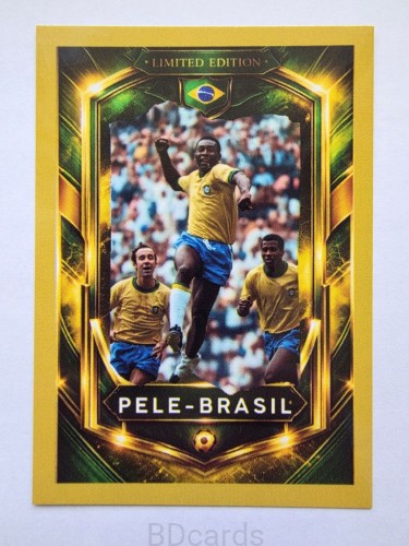 2026 Karta Diego Maradona Argentyna Legends Limited Edition /B
